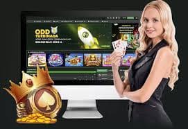 qh268 Cá cược bóng đá